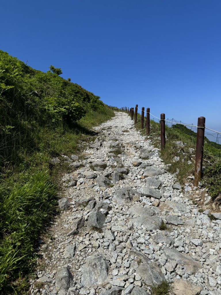 どこまでも伸びていきそうな道