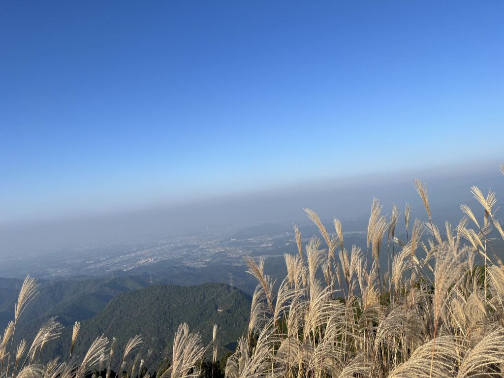 岩湧山からの眺め ススキ