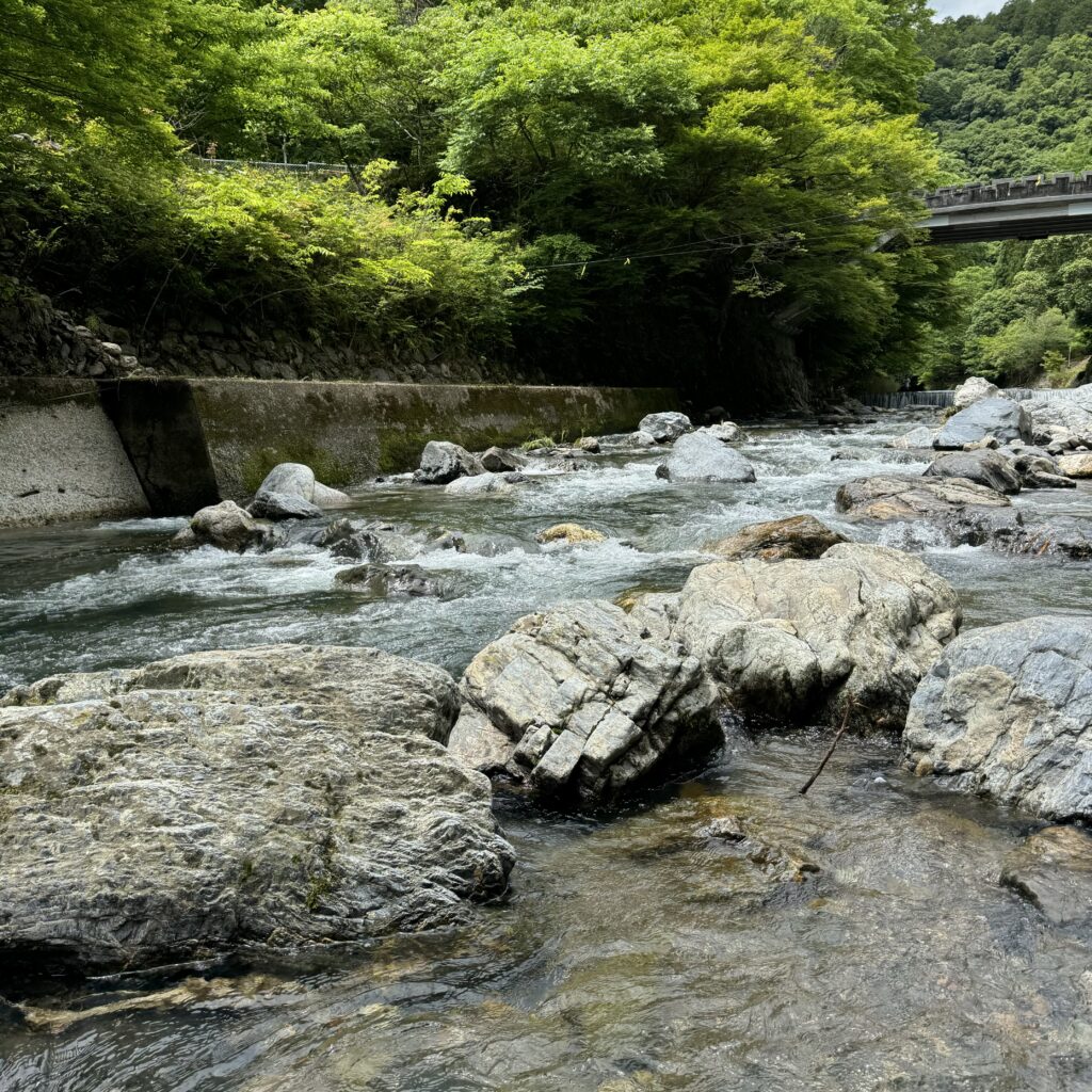 愛宕山 清流