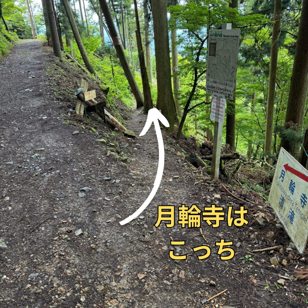 月輪寺コースへの分岐