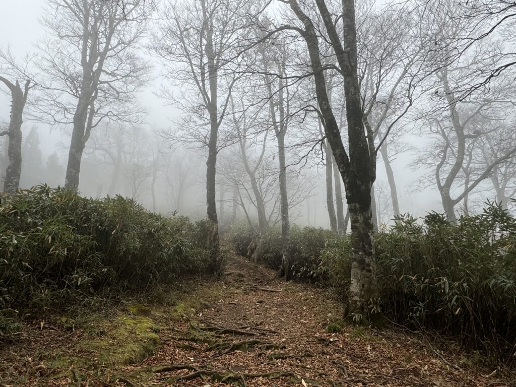 幻想的な風景 氷ノ山