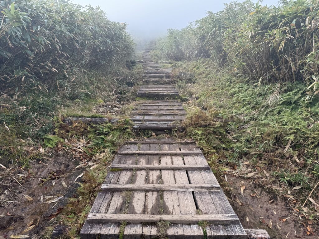 氷ノ山 整備された道