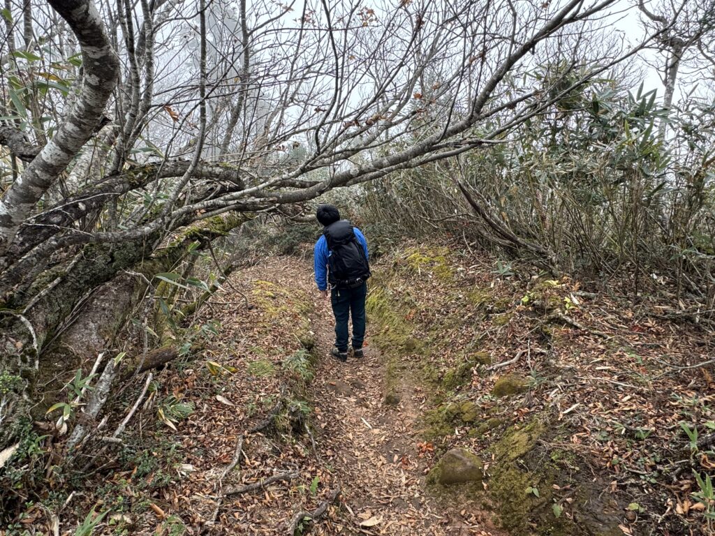 氷ノ山 下山中