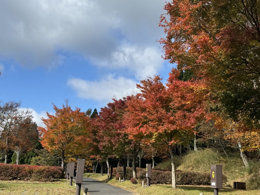 キャンプ場の紅葉