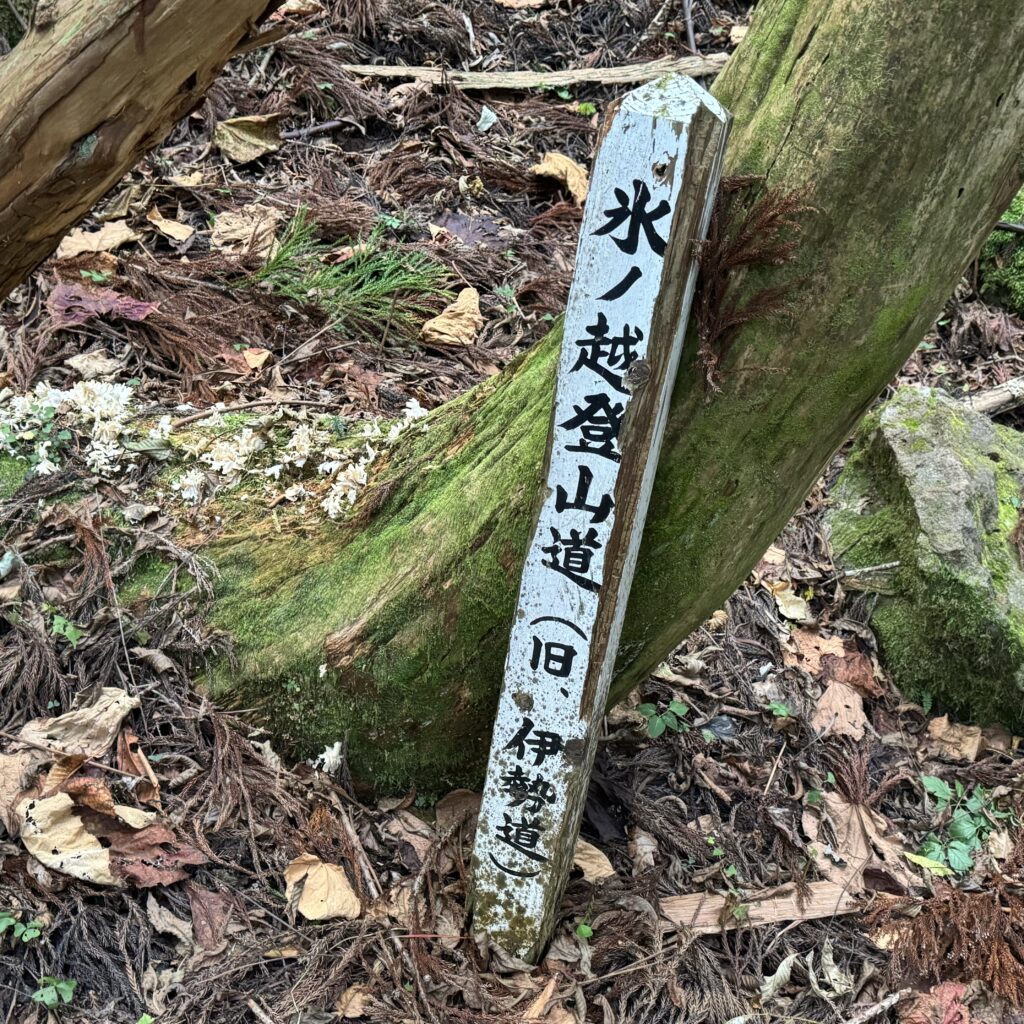 氷ノ山 旧伊勢道