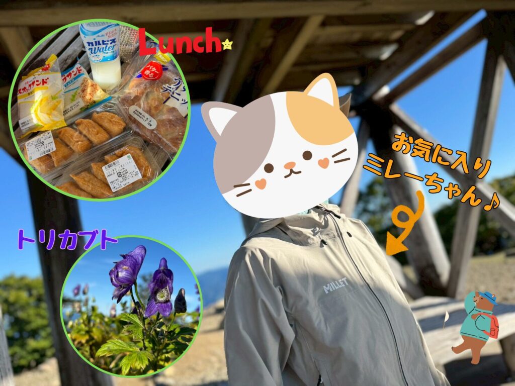 日出ヶ岳山頂 ランチ トリカブト