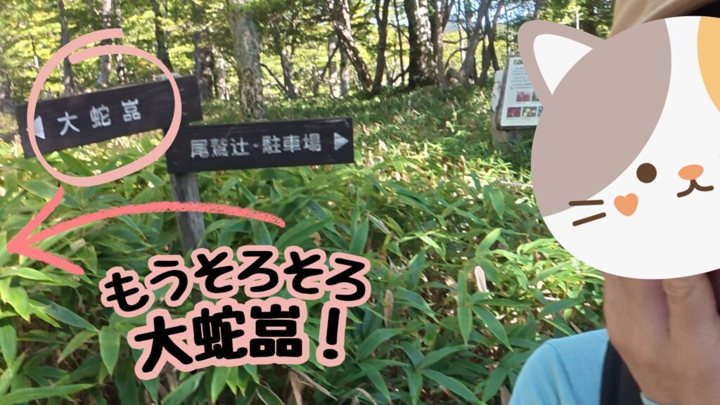 もうそろそろ 大蛇嵓！
