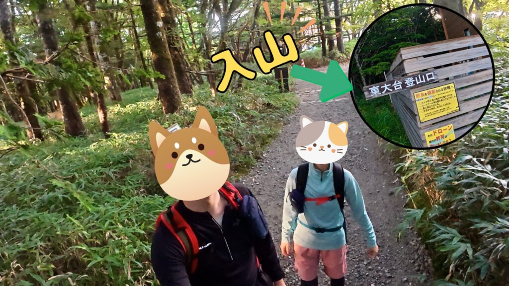 東大台に入山
