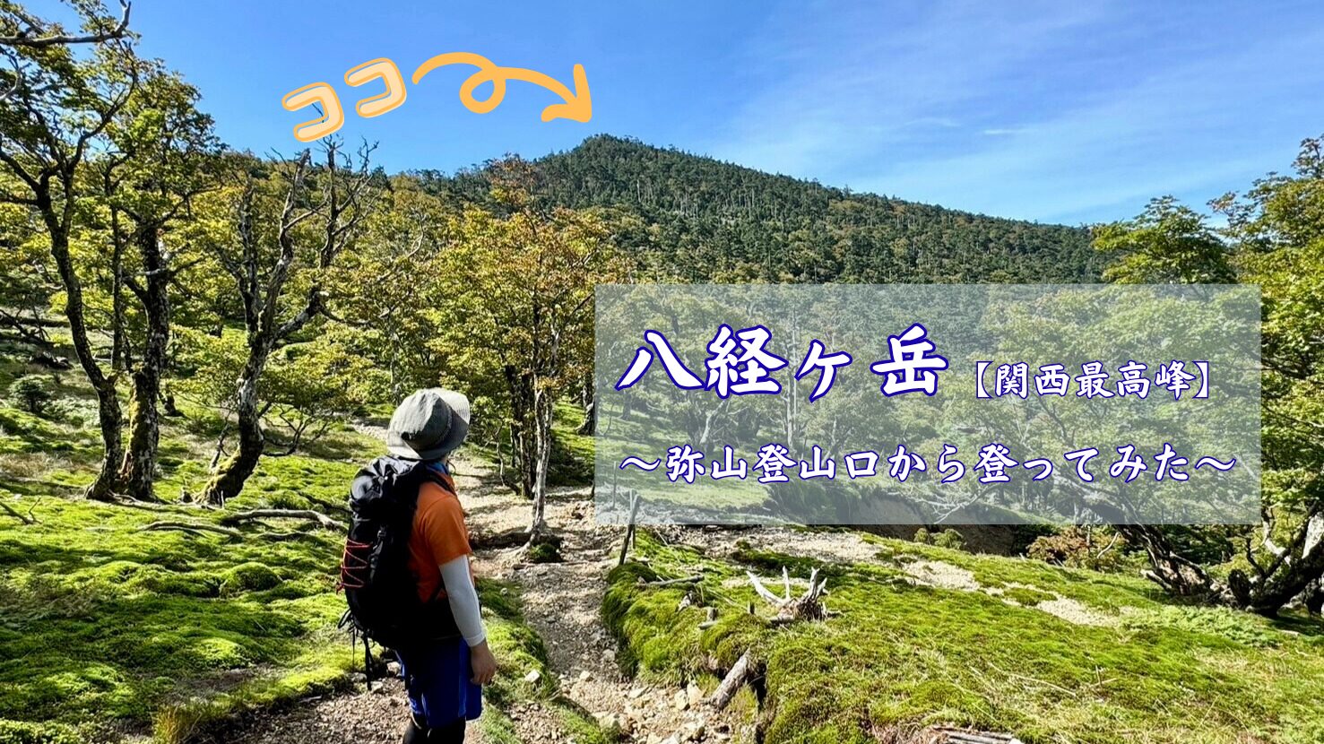 八経ヶ岳 アイキャッチ