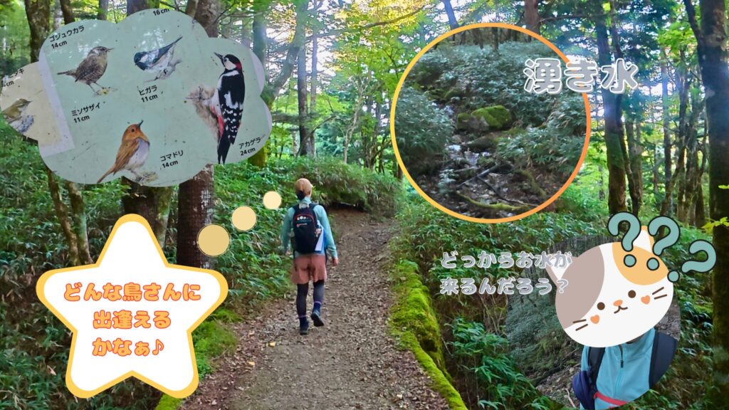 大台ヶ原をるんるんお散歩