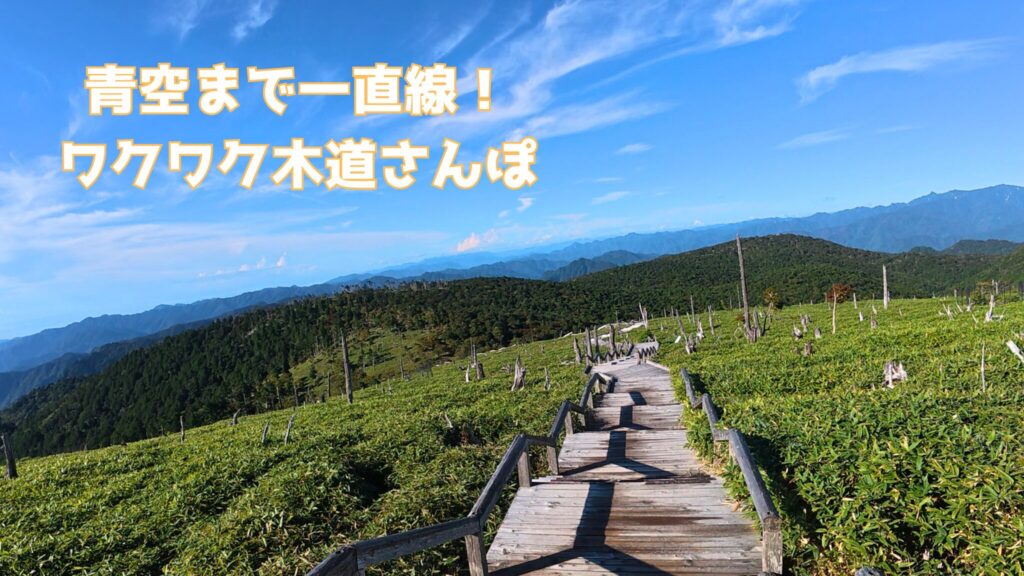 大台ヶ原 木道